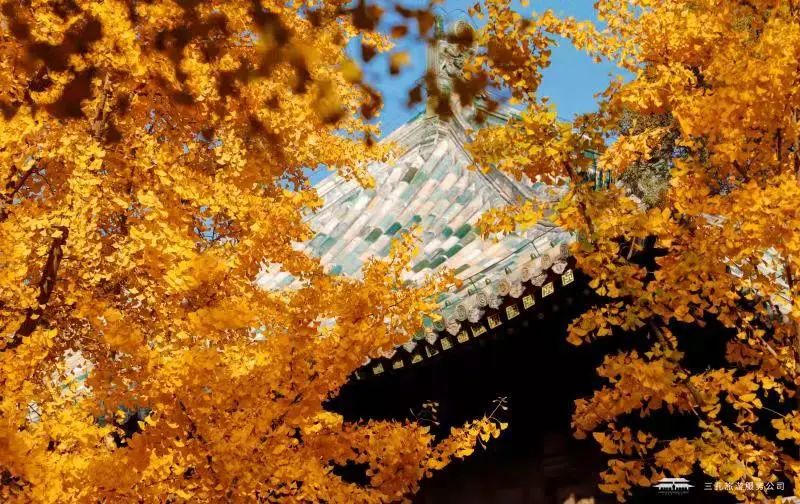 繽紛三孔 | 多彩秋日游，享受視覺盛宴！一起“趣”三孔吧
