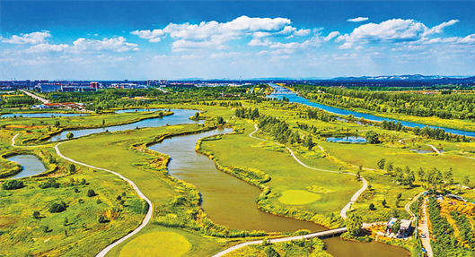 20220804_143104_009 20220804_143104_009