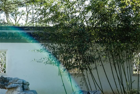 第二屆“孔子文旅杯”游客最喜愛(ài)的 文旅商品評(píng)選活動(dòng)啟動(dòng)